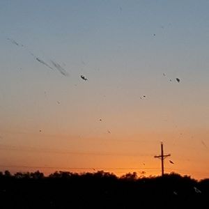 Meet your Posher, Creora